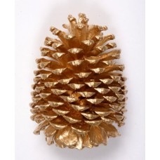 JEFFREY PINE CONE 5"-7" GOLD- OUT OF STOCK